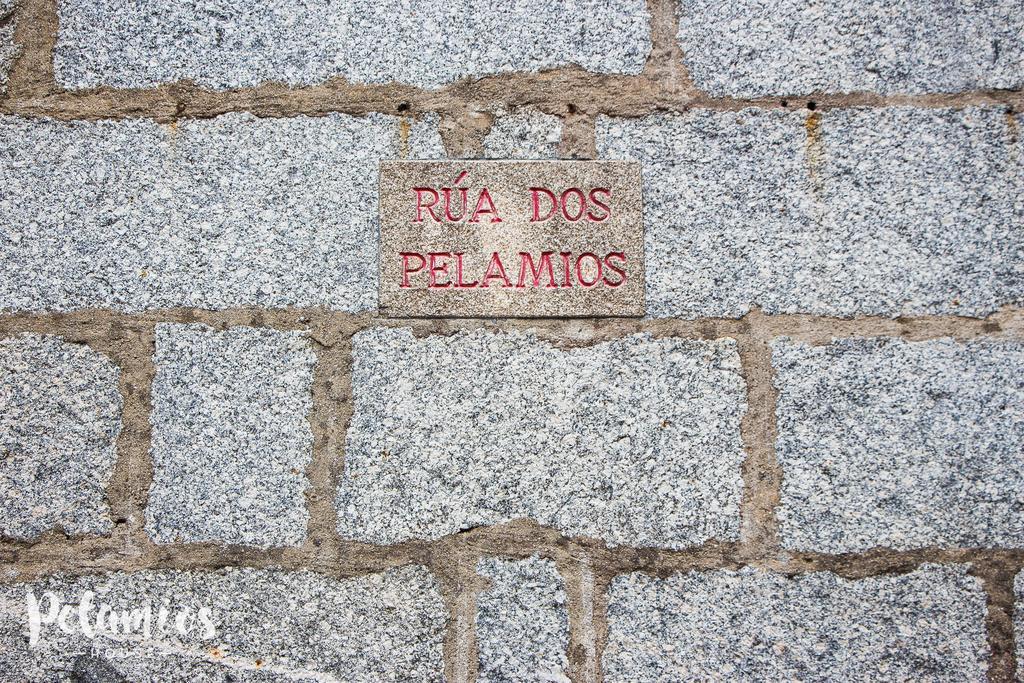 Апартаменти Pelamios House Сантьяго-де-Компостела Екстер'єр фото